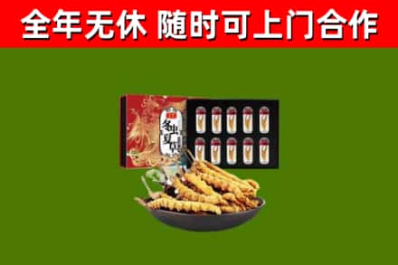 洞头区烟酒回收冬虫夏草礼盒.jpg